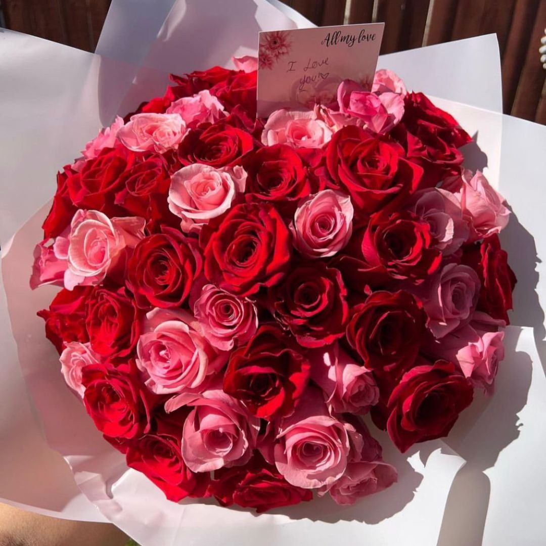 50 Pink and Red Roses