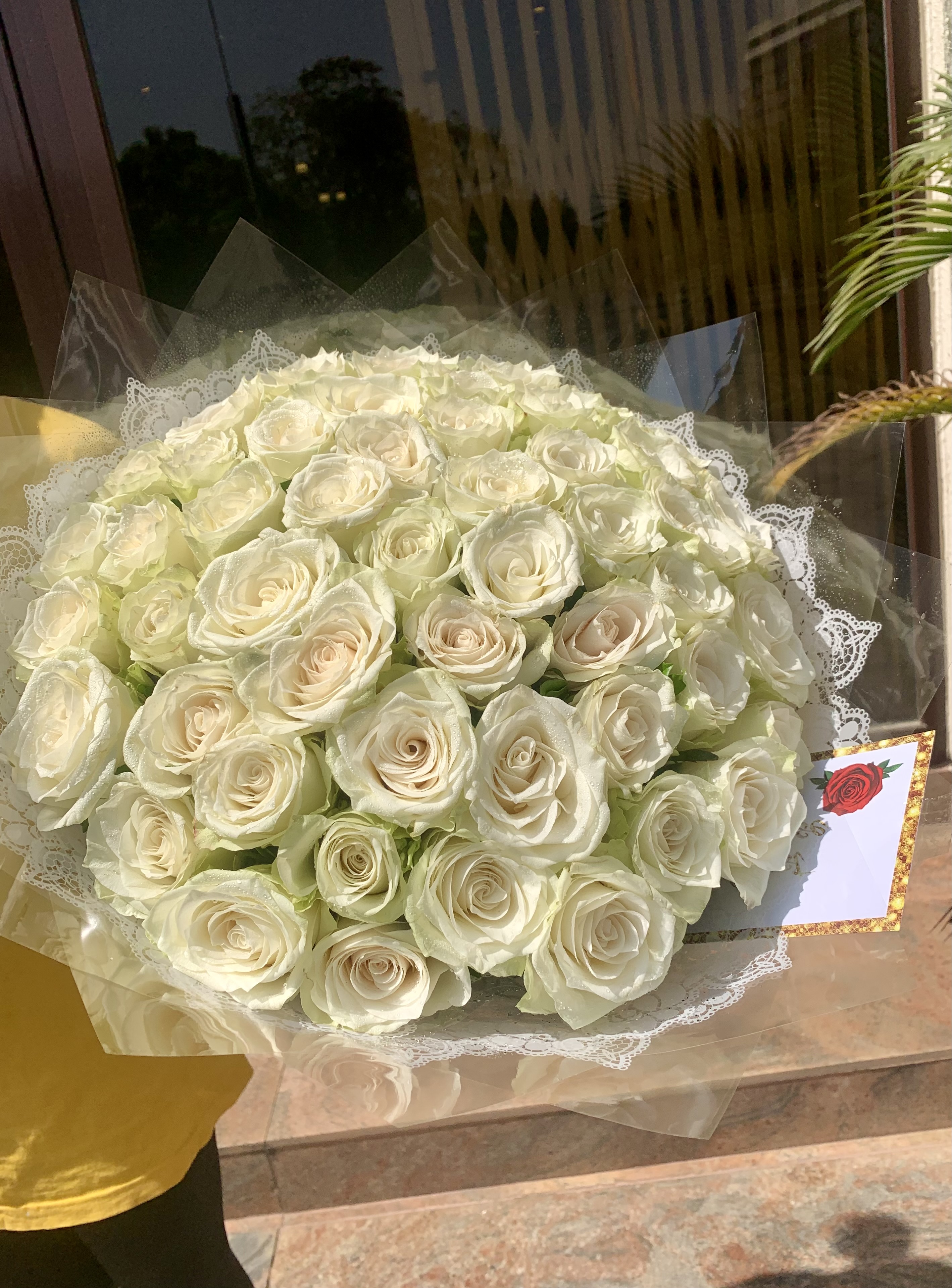 50 white roses