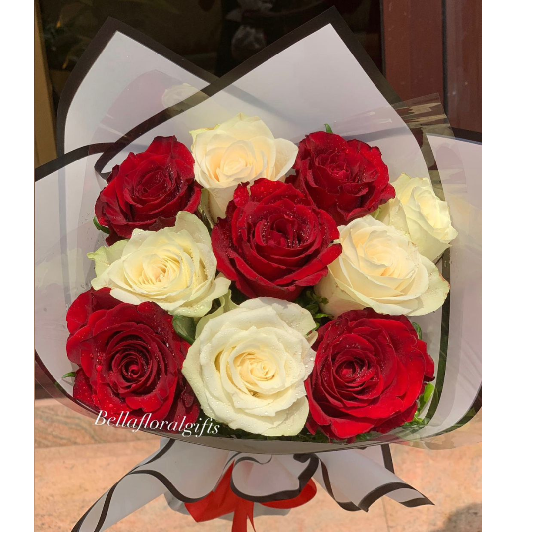 Red and white Rose