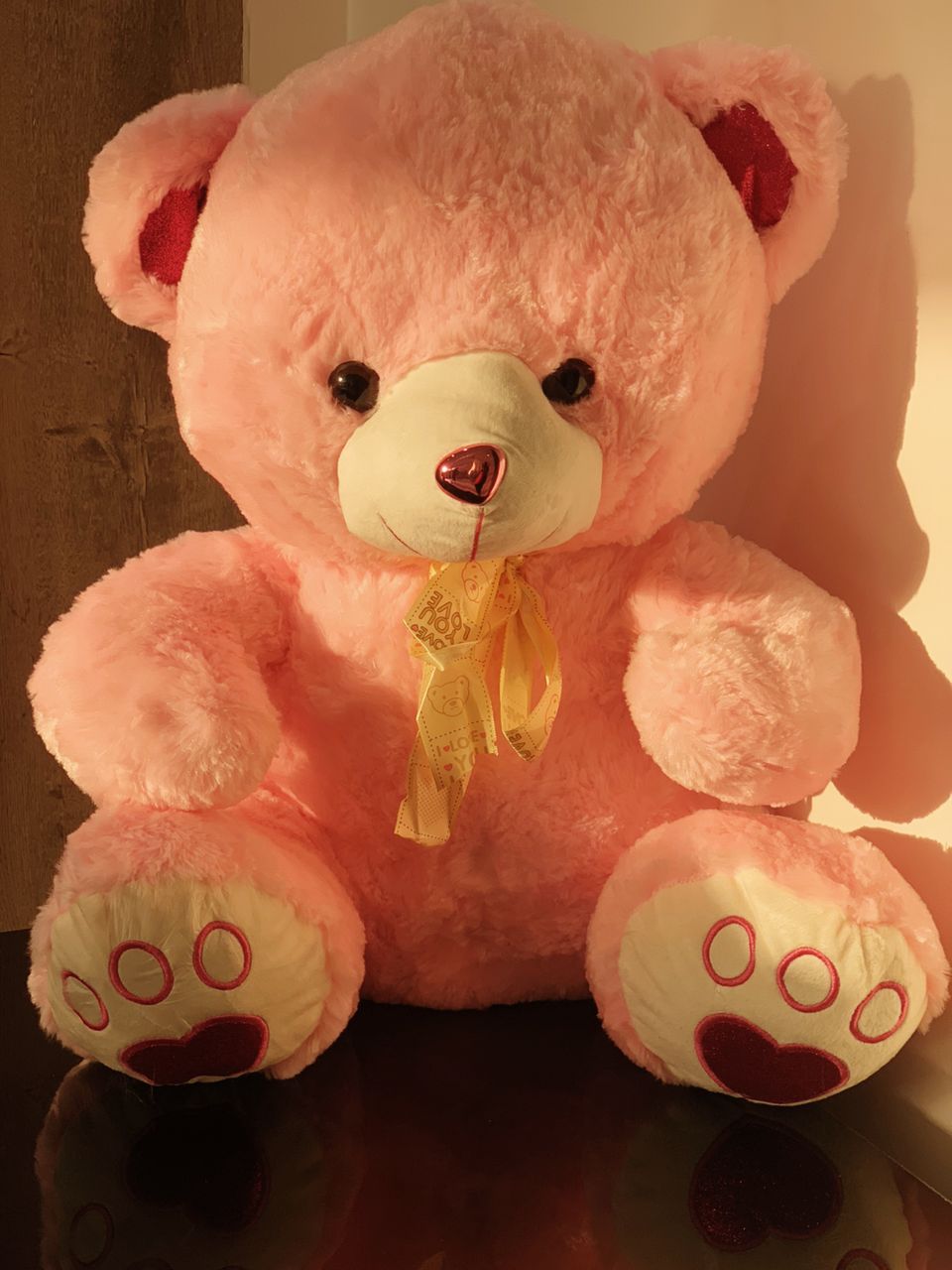 65 inches teddy