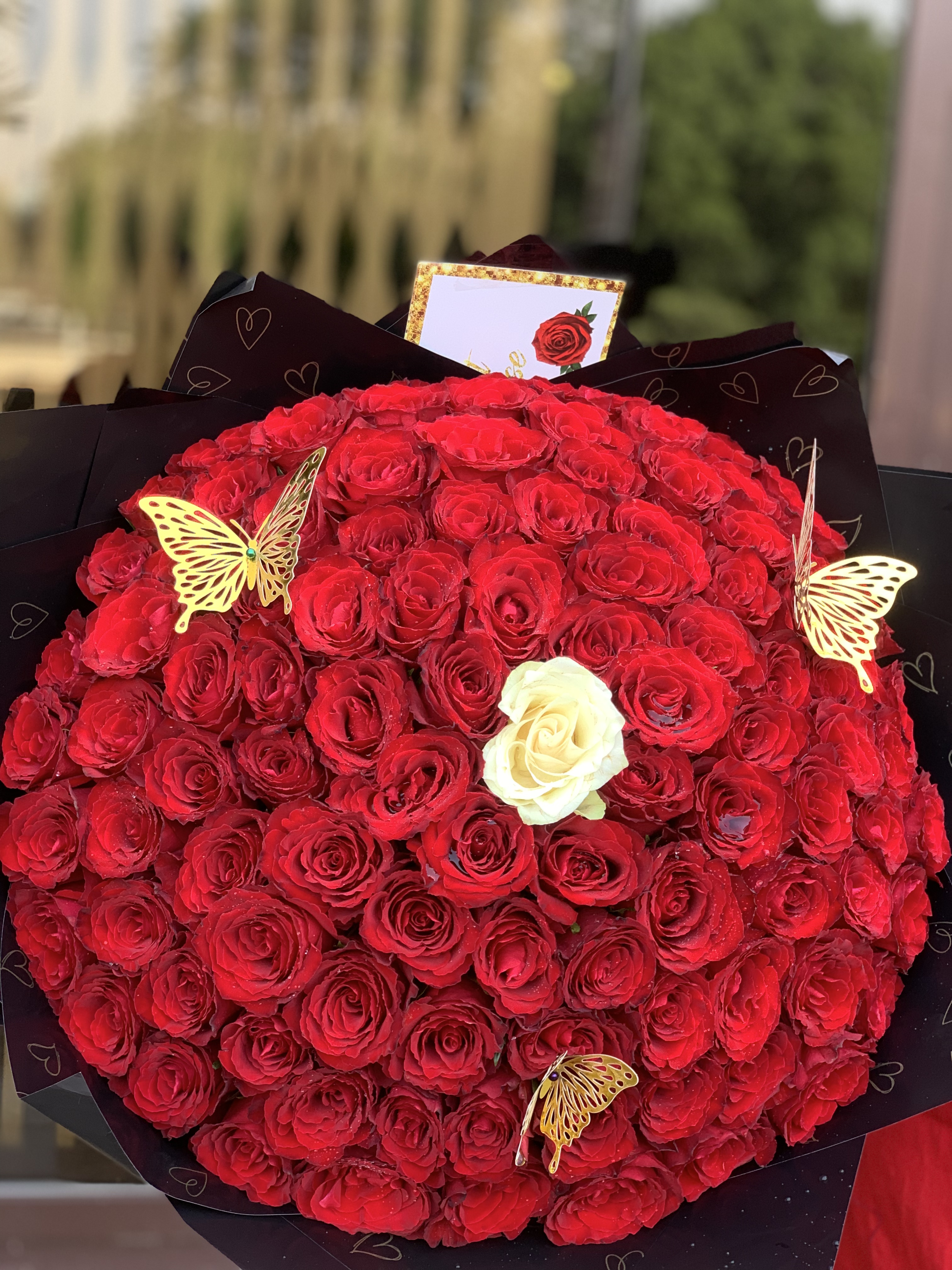 100 Roses